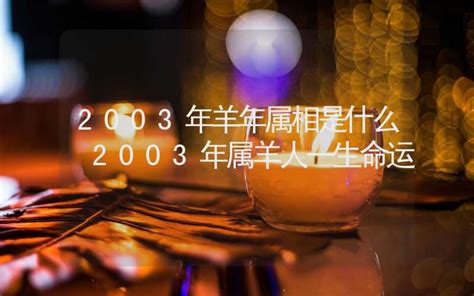 2003年 羊年|2003年是什么生肖 2003年属什么生肖属相